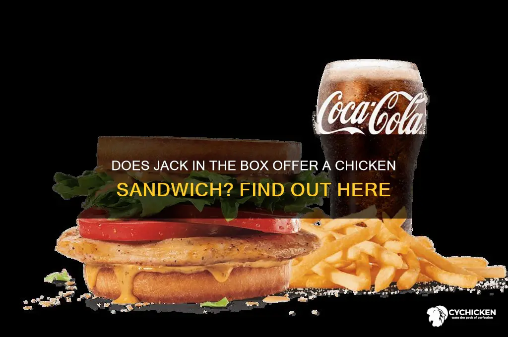 does jack in the box have a chicken sandwich