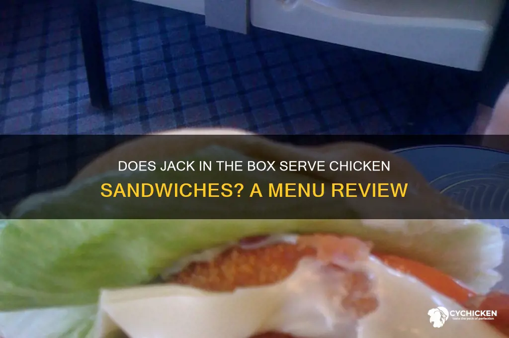 does jack in the box have chicken sandwiches