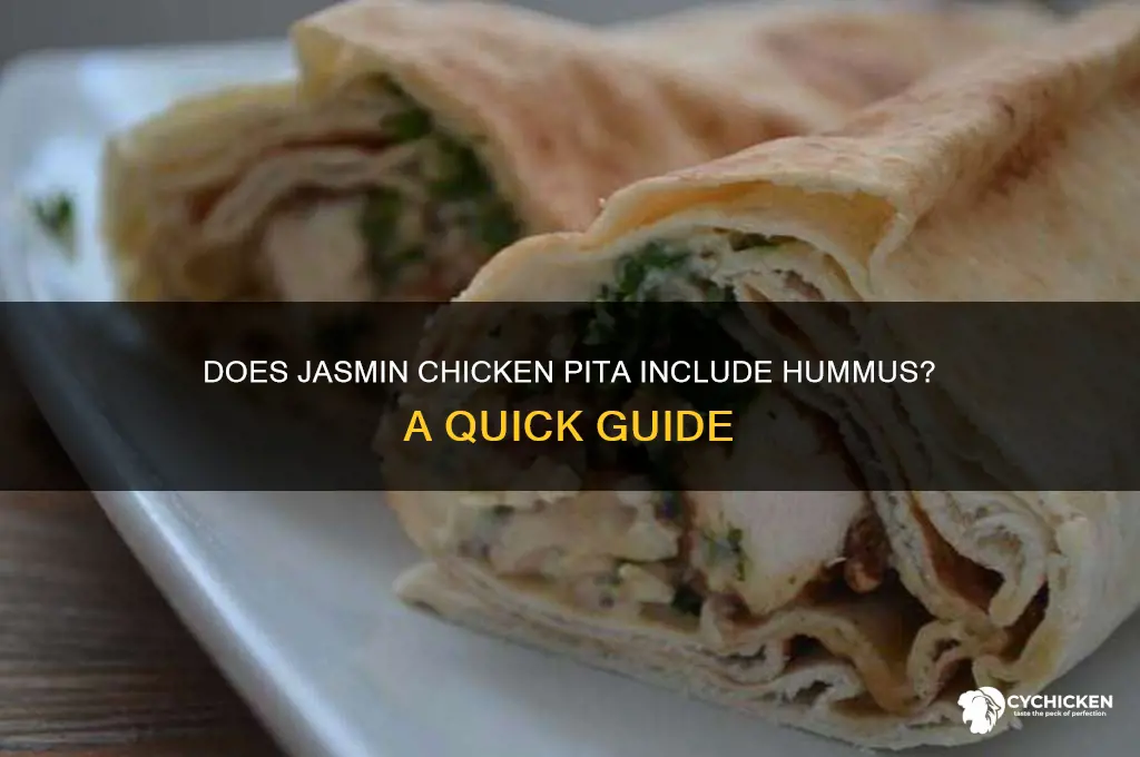 does jasmin chicken pita come with hummus