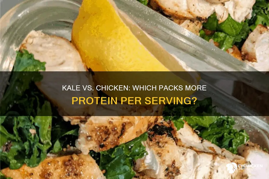 does kale have more protein than chicken
