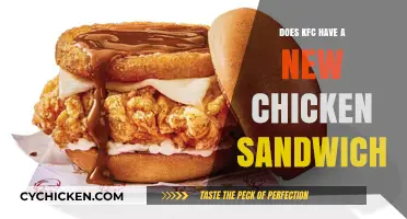 KFC's New Chicken Sandwich: A Game-Changer or Just Hype?