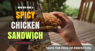 KFC's Spicy Chicken Sandwich: A Fiery Delight or Mild Disappointment?