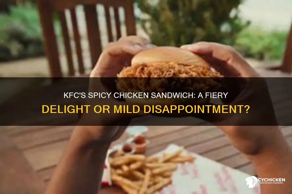 does kfc have a spicy chicken sandwich