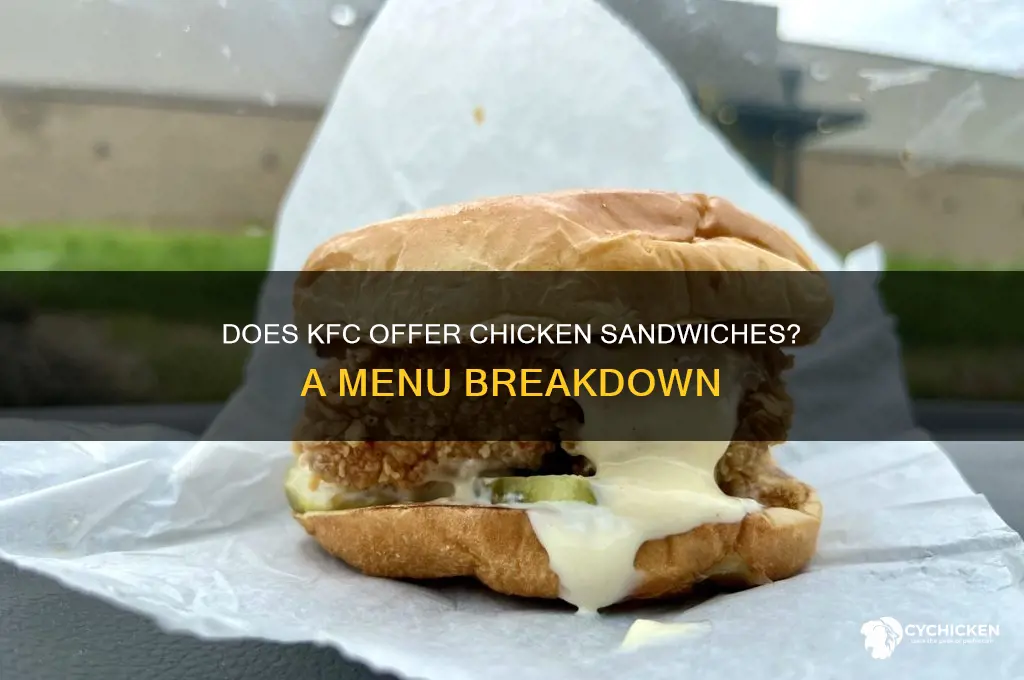 does kfc have chicken sandwiches