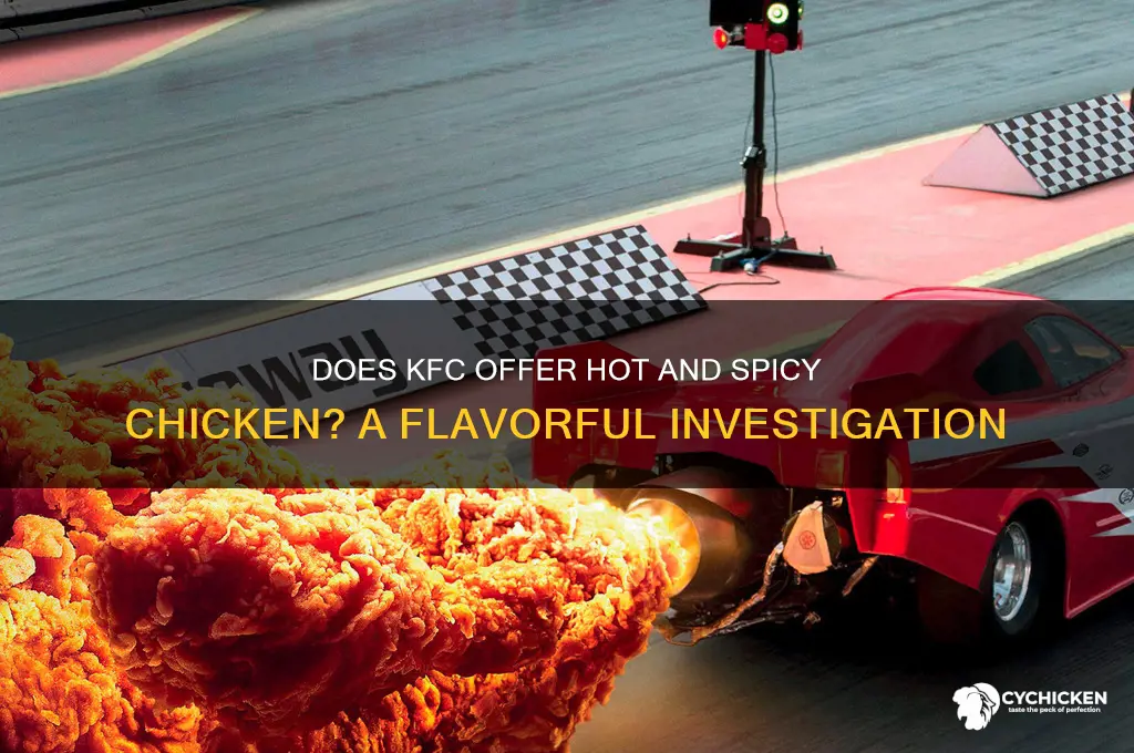 does kfc have hot and spicy chicken