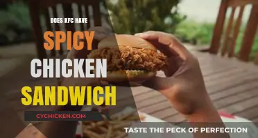KFC's Spicy Chicken Sandwich: A Fiery Delight or Mild Disappointment?