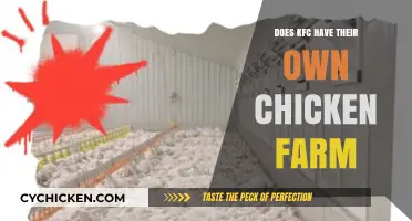 Does KFC Own Chicken Farms? Uncovering the Truth Behind the Buckets