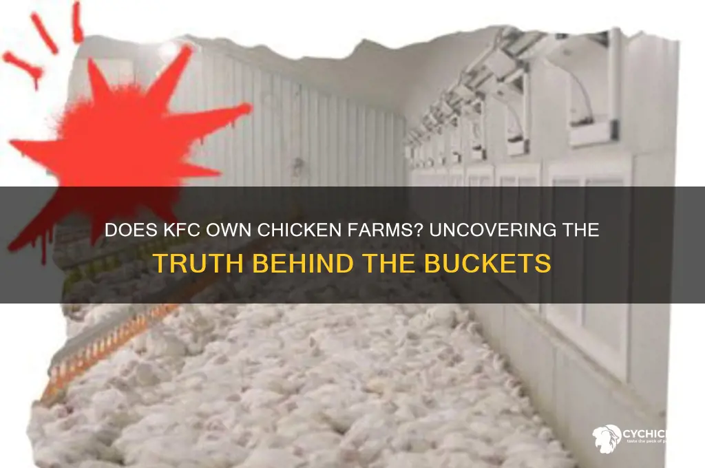 does kfc have their own chicken farm