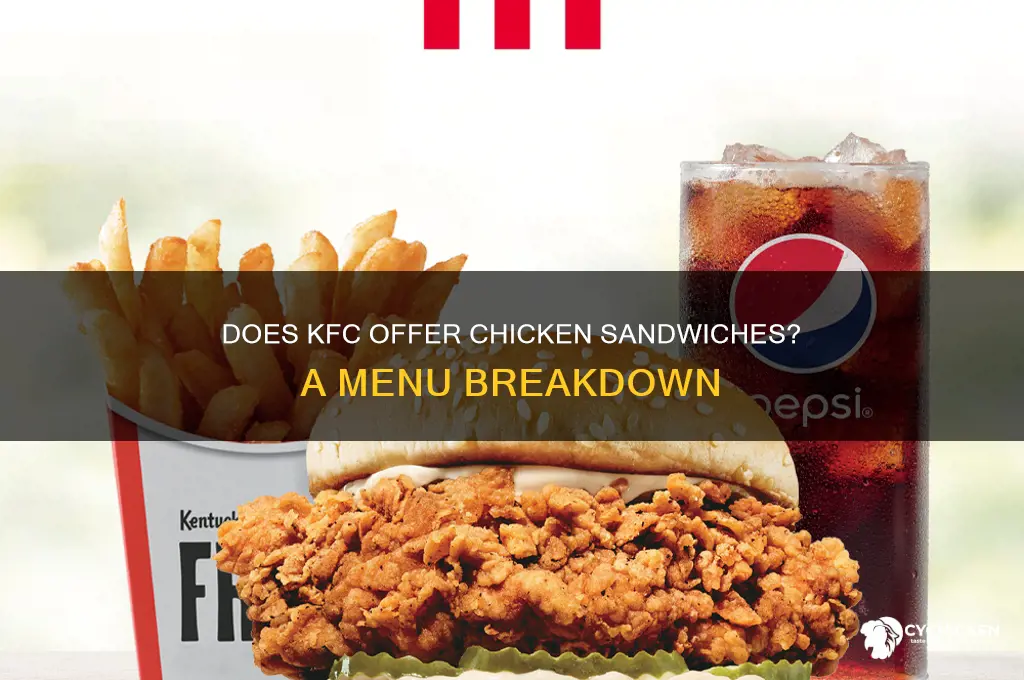 does kfc sell chicken sandwiches