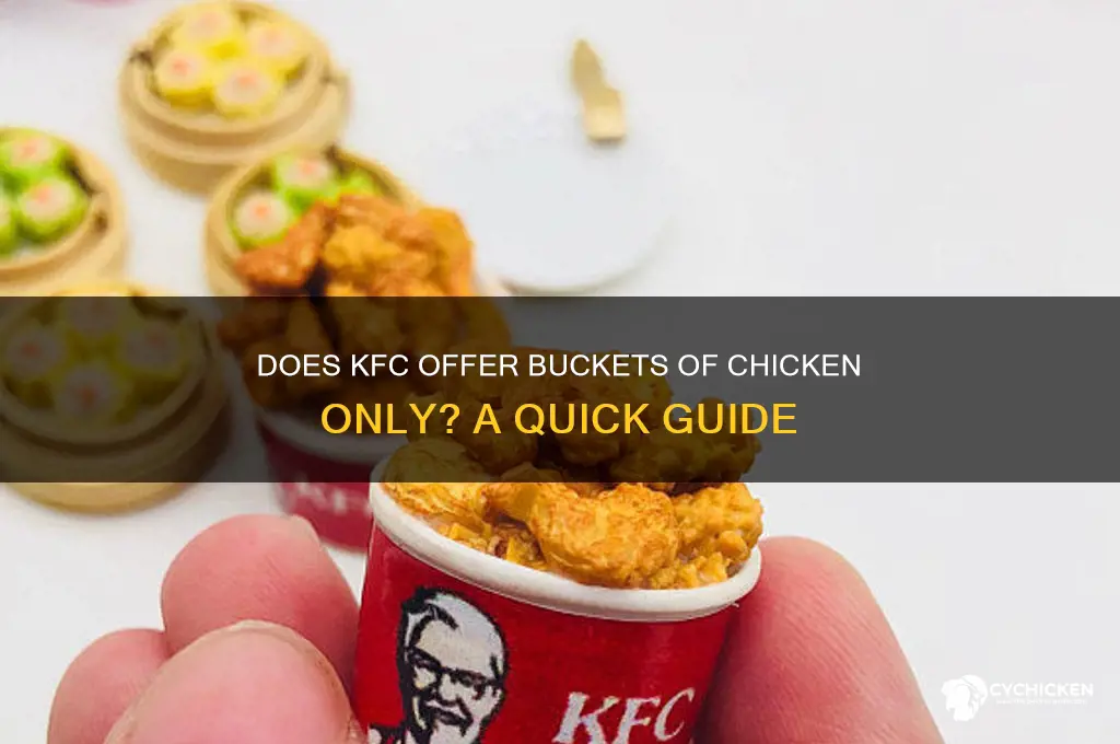 does kfc sell just buckets of chicken