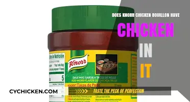 Does Knorr Chicken Bouillon Contain Real Chicken? Unveiling the Truth