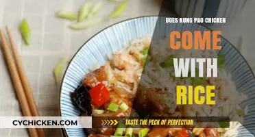 Kung Pao Chicken and Rice: A Perfect Pairing or Separate Dish?