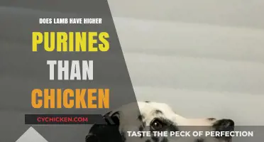 Lamb vs. Chicken: Which Has Higher Purines in Your Diet?