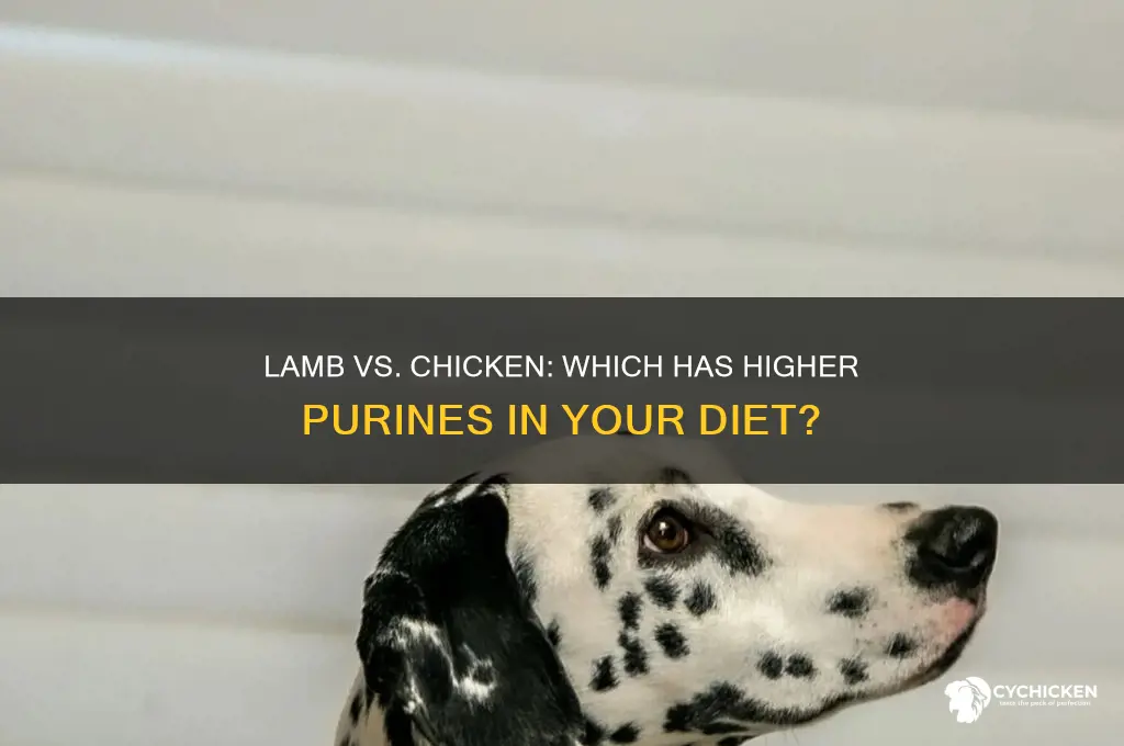 does lamb have higher purines than chicken