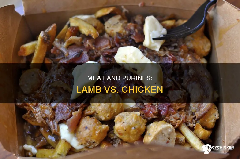 does lamb have more purine in it than chicken