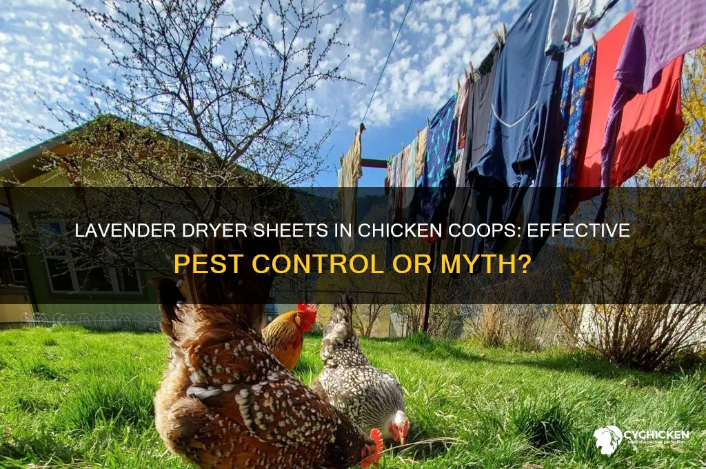 does lavender dryer sheets work in chicken sheds