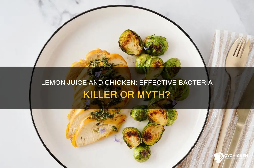 does lemon juice kill bacteria on chicken