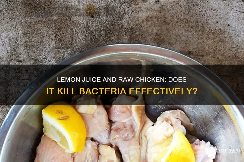 does lemon juice kill bacteria on raw chicken