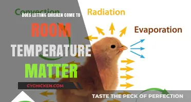 Does Room Temperature Chicken Matter for Cooking Success?