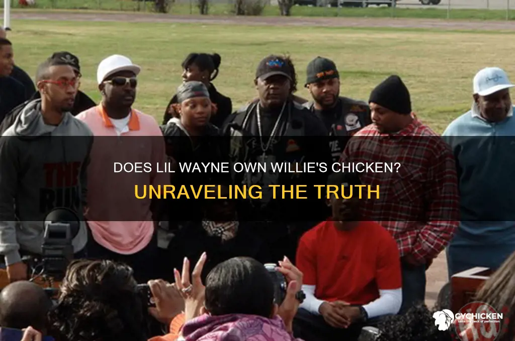does lil wayne own willie