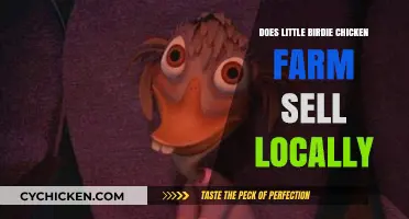 Does Little Birdie Chicken Farm Sell Locally? Exploring Fresh Poultry Options