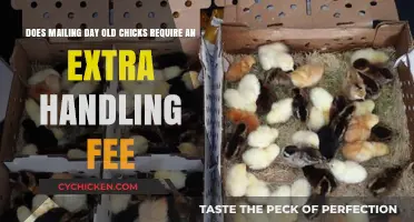 Mailing Day-Old Chicks: Extra Handling Fee?