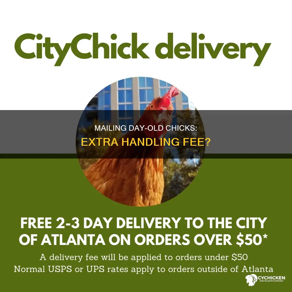 does mailing day old chicks require an extra handling fee
