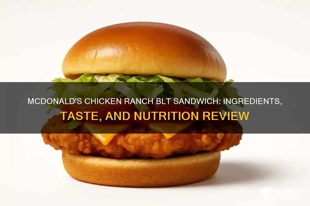 does mcdonald chicken ranch blt sandwich