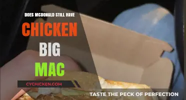 Is the Chicken Big Mac Still on McDonald's Menu?