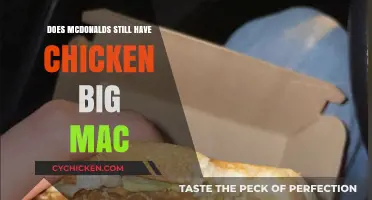 Is the Chicken Big Mac Still on McDonald's Menu?