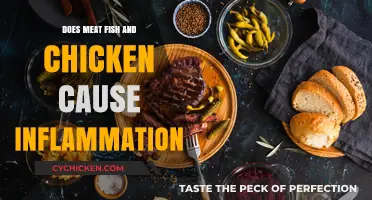 Meat, Fish, and Chicken: Uncovering Their Role in Inflammation