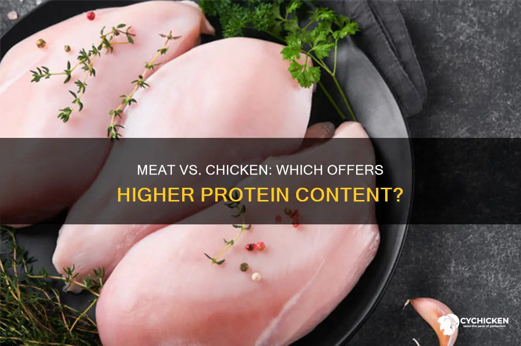 does meat have more protein than chicken