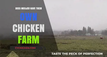 Does Meojer Own a Chicken Farm? Uncovering the Truth