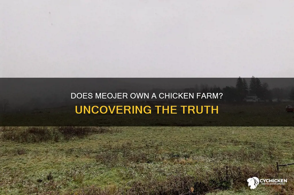 does meojer have their own chicken farm