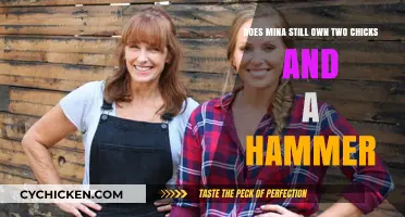 Mina's Two Chicks and a Hammer: Still in Business?
