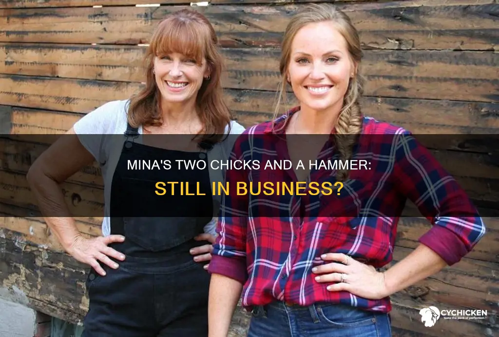 does mina still own two chicks and a hammer