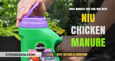 Soil Secrets: Miracle-Gro and Niu Chicken Manure Mix
