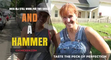 Two Chicks and a Hammer: Where's MJ Now?