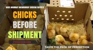 Does Murray McMurray De-Beak Day-Old Chicks Before Shipment?