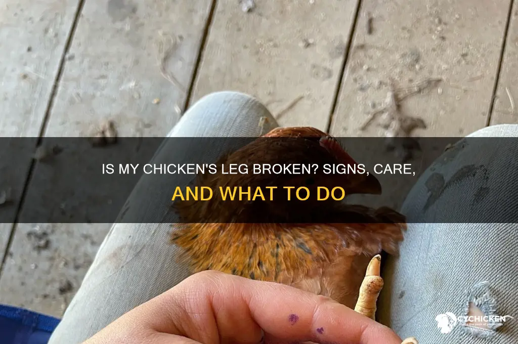 does my chicken have a broken leg