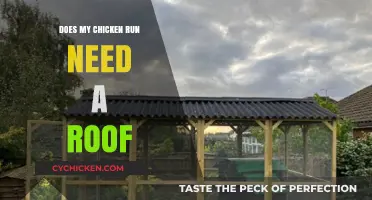 Should You Add a Roof to Your Chicken Run? Pros and Cons