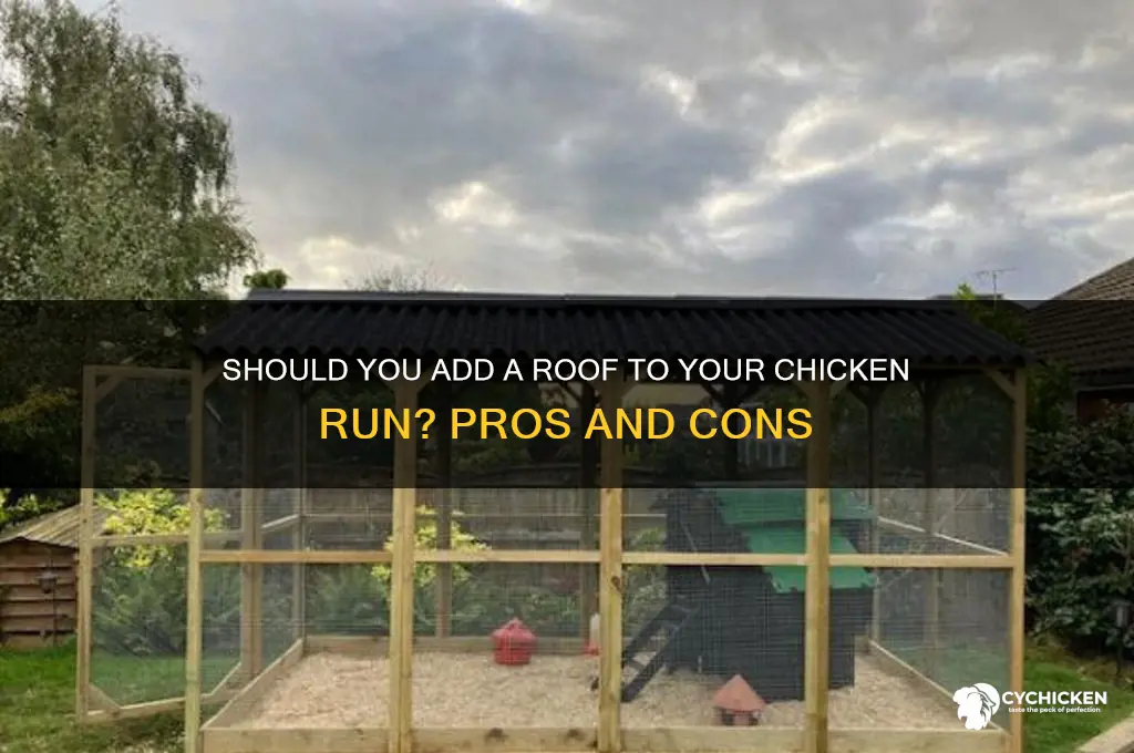 does my chicken run need a roof