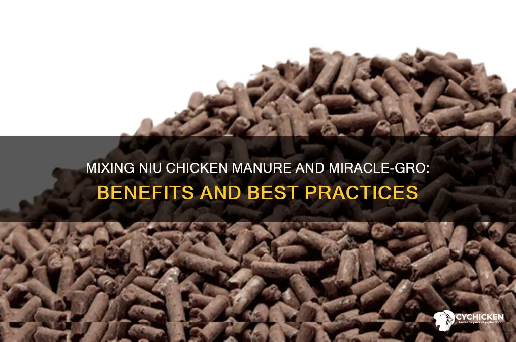 does niu chicken manure and miracle grow mix