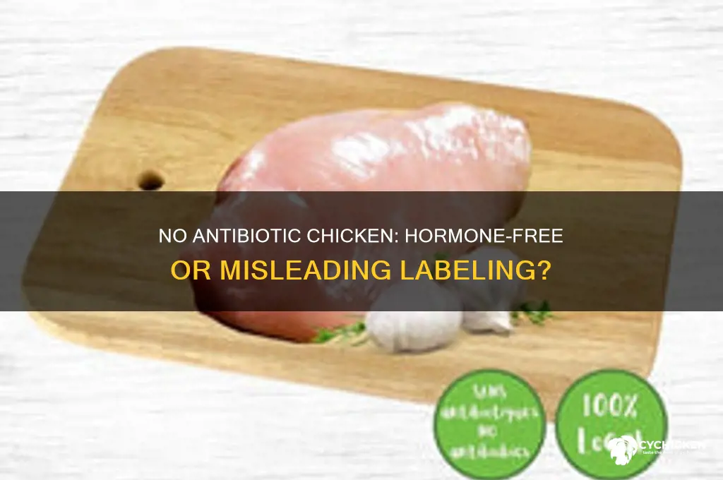 does no antibiotic chicken have hormones in it