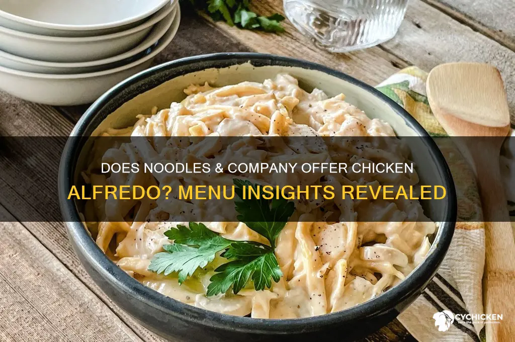 does noodles and company have chicken alfredo