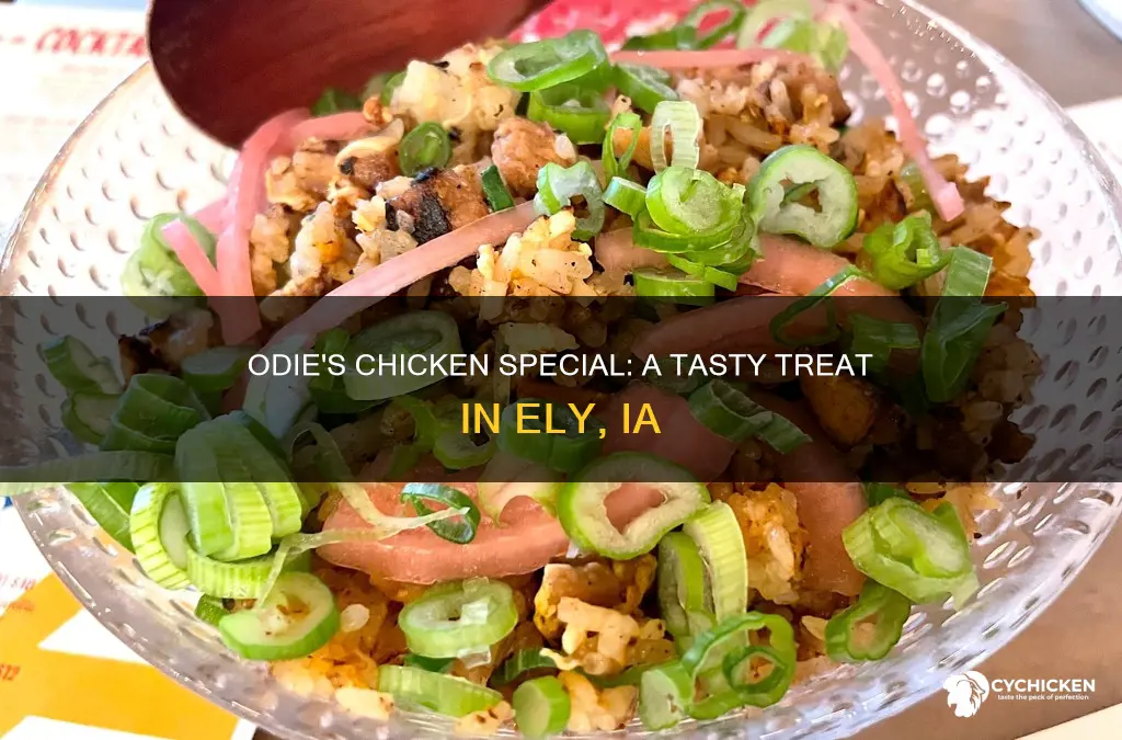 does odies in ely ia have chicken special i