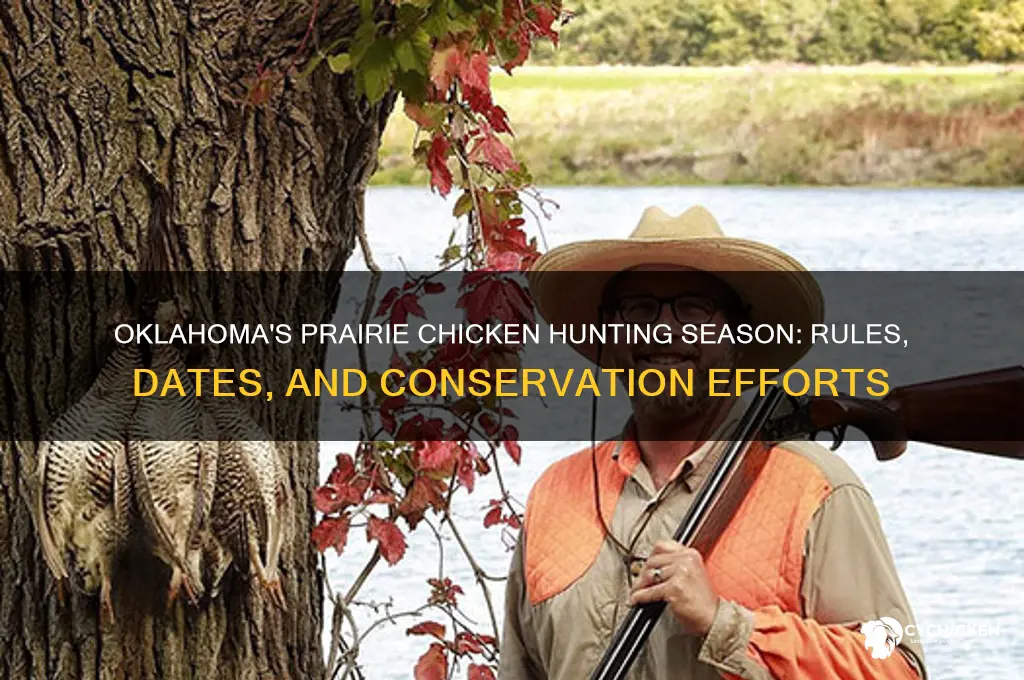 does okla have a prairie chicken season