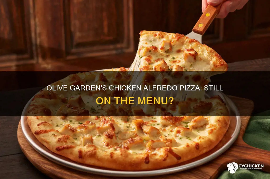 does olive garden still have chicken alfredo pizza