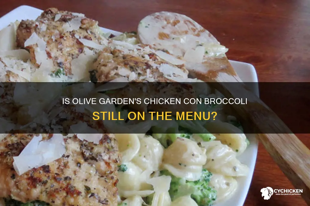 does olive garden still have chicken con broccoli