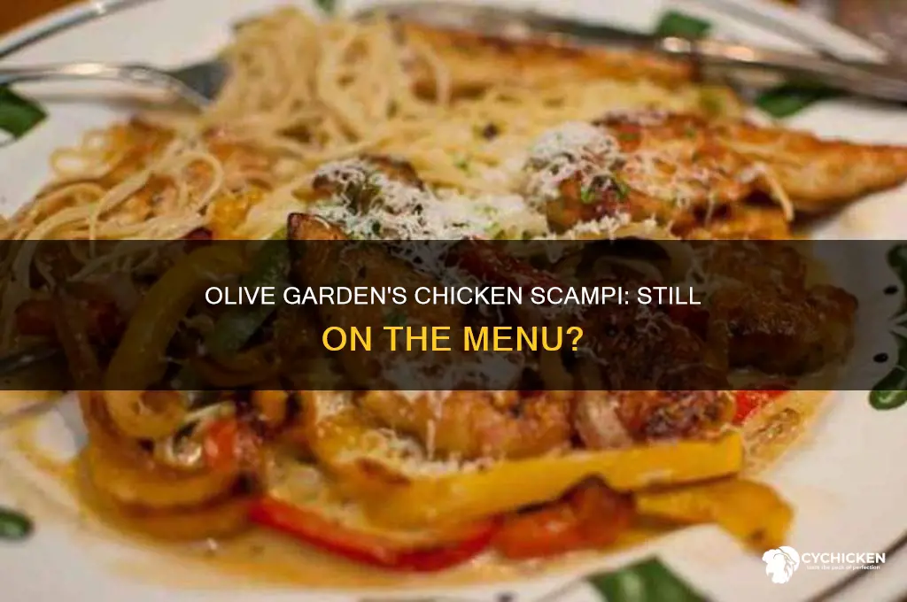 does olive garden still have chicken scampi